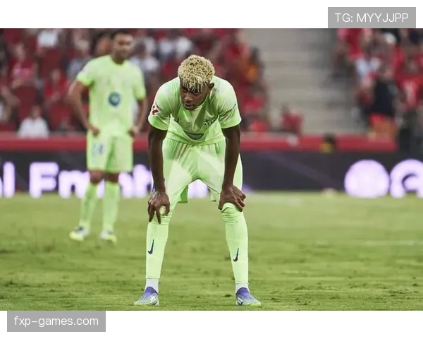 亚马尔战术角色与使用强度是否过度依赖 亚马尔战术角色与使用强度是否过度依赖